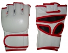 MMA Gloves